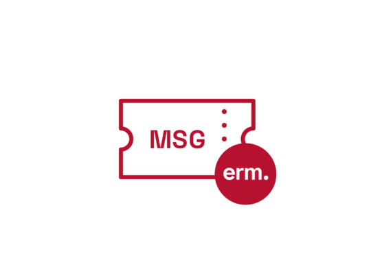 STM Einzelticket MSG Erm 1920x1080px